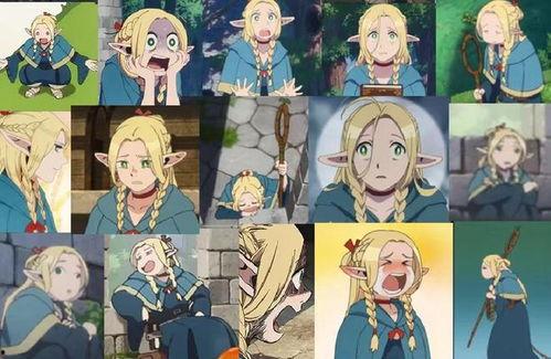 迷宫饭,探寻美食与人生的神秘之旅