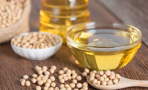 油脂2,揭秘油脂的奥秘与营养价值