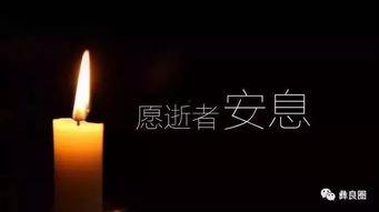 愿天堂没有眼泪,缅怀逝者，珍惜当下